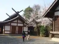 代田八幡神社のその他建物
