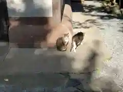 小野照崎神社の動物