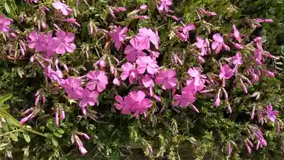 比佐豆知神社(三重県)