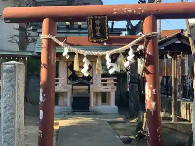 椿神社の鳥居