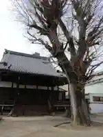 上宮寺(岐阜県)