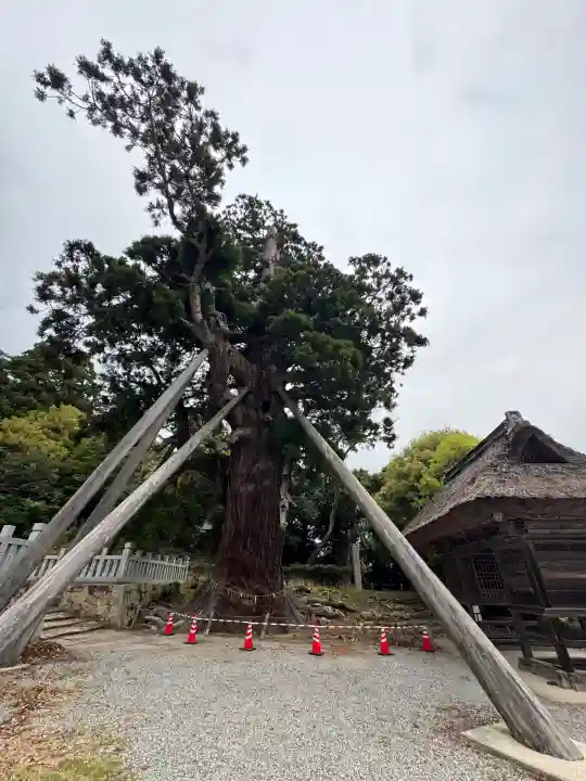 玉若酢命神社(島根県)