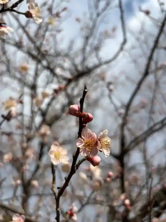 二兒神社(福岡県)