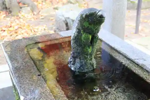 神炊館神社 ⁂奥州須賀川総鎮守⁂の手水