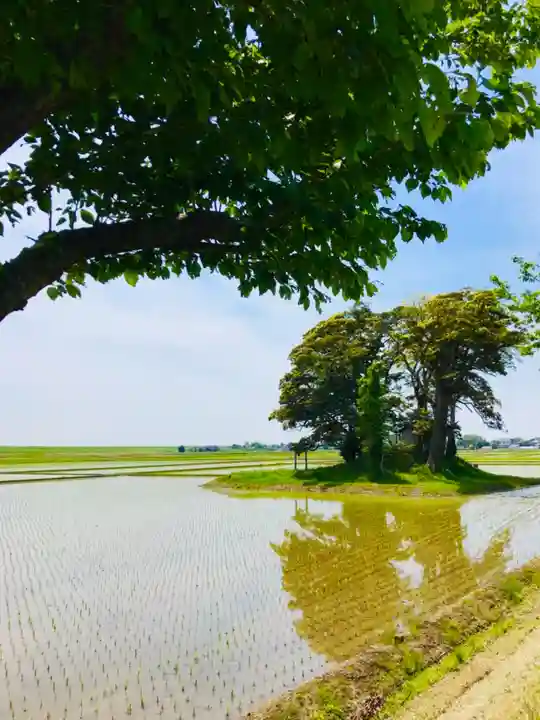 愛宕神社の周辺