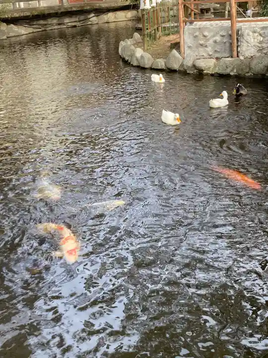 平塚八幡宮(神奈川県)