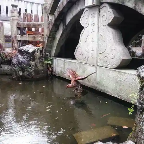 若宮神明社の庭園