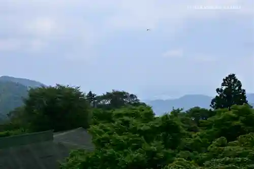 大山阿夫利神社の景色