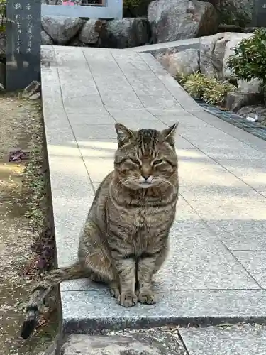 お松大権現の{uncategorized: "未分類", other: "その他", undefined: "問題あり", building: "その他建物", grave: "お墓", sacred_gate: "鳥居", guardian: "狛犬", statue: "像", buddha: "仏像", history: "歴史", nature: "自然", garden: "庭園", animal: "動物", pagoda: "塔", temizu: "手水舎", mountain_gate: "山門・神門", sanctuary: "本殿・本堂", subordinate: "末社・摂社", art: "芸術", scenery: "景色", jizo: "地蔵", ema: "絵馬", goshuin: "御朱印", omikuji: "おみくじ", items: "授与品その他", amulet: "お守り", goshuincho: "御朱印帳", eats: "食事", festival: "お祭り", votive_dance: "神楽", shichigosan: "七五三参", wedding: "結婚式", experience: "体験その他", initially: "初詣", around: "周辺", anti_infection: "感染症対策"}