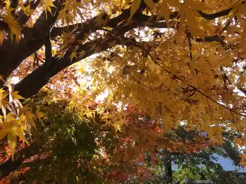 宝林寺(静岡県)