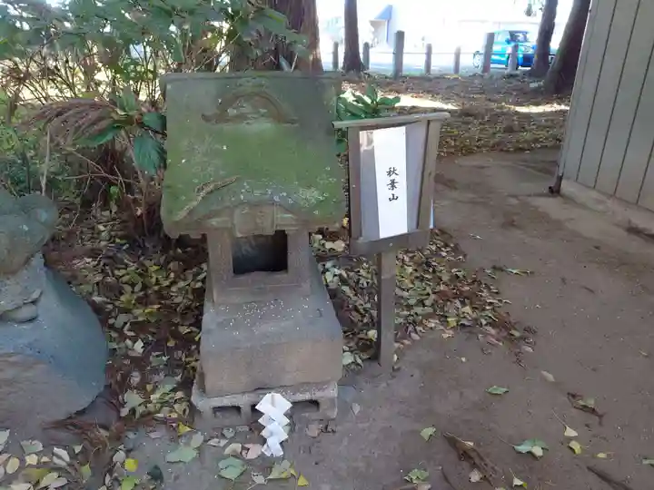 大国神社(群馬県)
