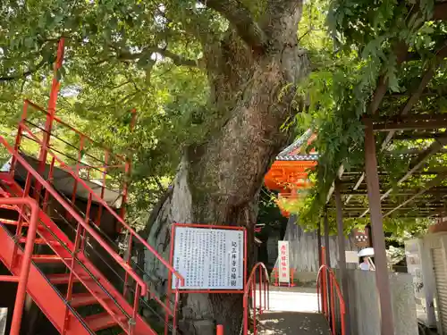 金剛宝寺（紀三井寺）(和歌山県)