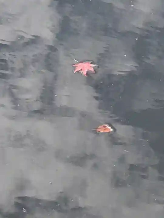 龍顔寺(長野県)