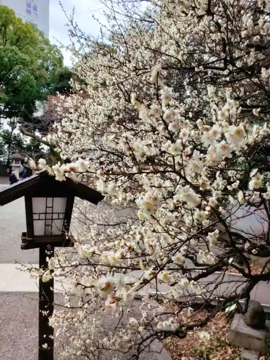 乃木神社(東京都)
