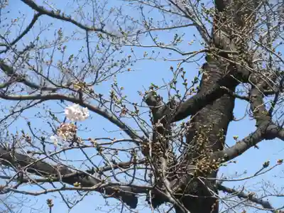 養玉院如来寺(東京都)