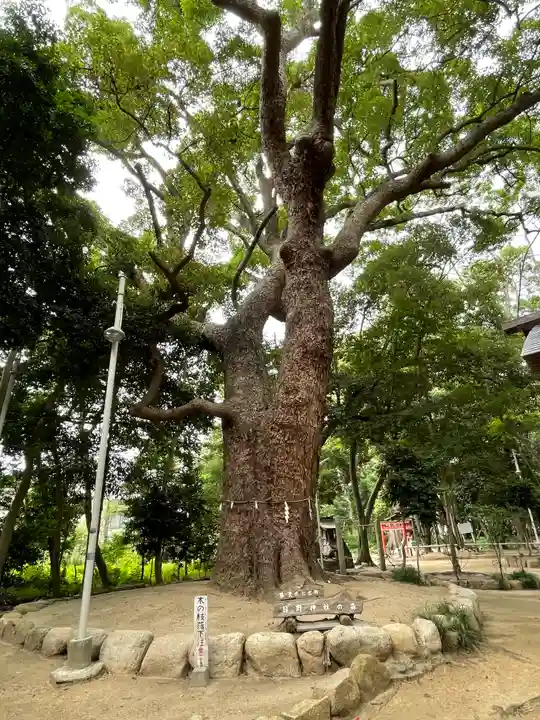 日野神社の自然