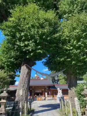 亀ケ池八幡宮の山門・神門