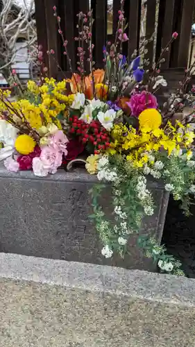 勝林寺(京都府)