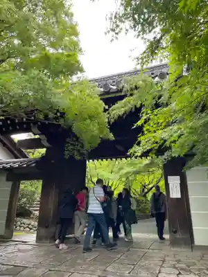 龍安寺(京都府)
