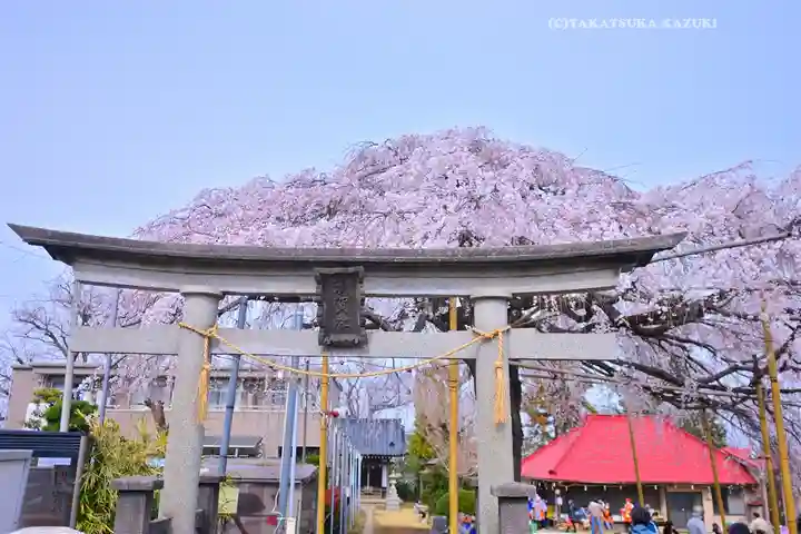 栗谷須賀神社(神奈川県)