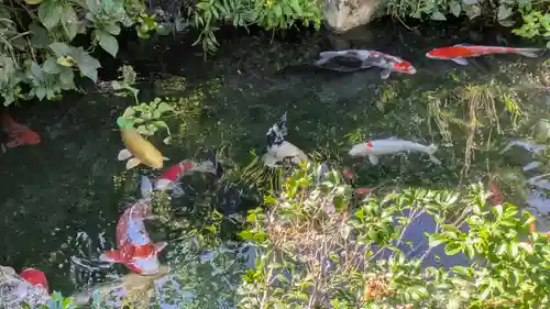 乘願院(京都府)