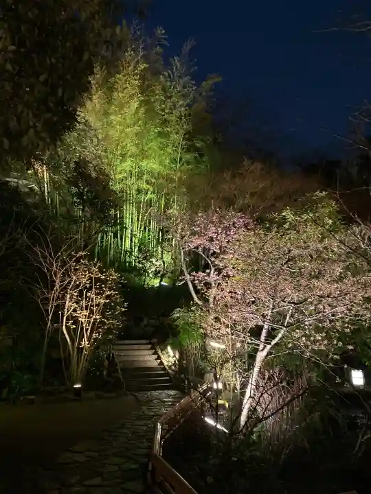 長谷寺の{uncategorized: "未分類", other: "その他", undefined: "問題あり", building: "その他建物", grave: "お墓", sacred_gate: "鳥居", guardian: "狛犬", statue: "像", buddha: "仏像", history: "歴史", nature: "自然", garden: "庭園", animal: "動物", pagoda: "塔", temizu: "手水舎", mountain_gate: "山門・神門", sanctuary: "本殿・本堂", subordinate: "末社・摂社", art: "芸術", scenery: "景色", jizo: "地蔵", ema: "絵馬", goshuin: "御朱印", omikuji: "おみくじ", items: "授与品その他", amulet: "お守り", goshuincho: "御朱印帳", eats: "食事", festival: "お祭り", votive_dance: "神楽", shichigosan: "七五三参", wedding: "結婚式", experience: "体験その他", initially: "初詣", around: "周辺", anti_infection: "感染症対策"}