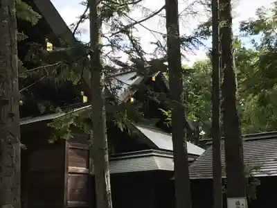 上川神社の本殿・本堂