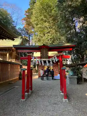 岩槻久伊豆神社(埼玉県)