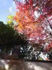 東福禅寺（東福寺）(京都府)