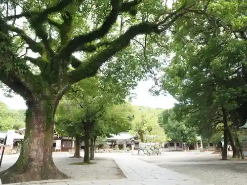 真清田神社の自然