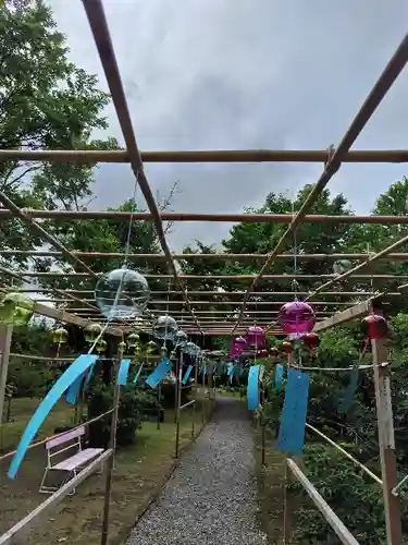 美瑛神社の体験その他