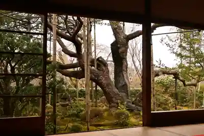 宝泉院(京都府)