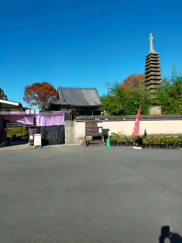 般若寺 ❁﻿コスモス寺❁(奈良県)