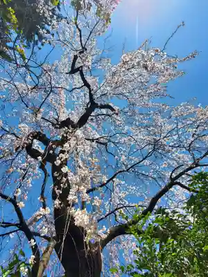 開成山大神宮(福島県)