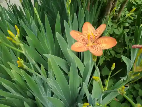 沙沙貴神社(滋賀県)