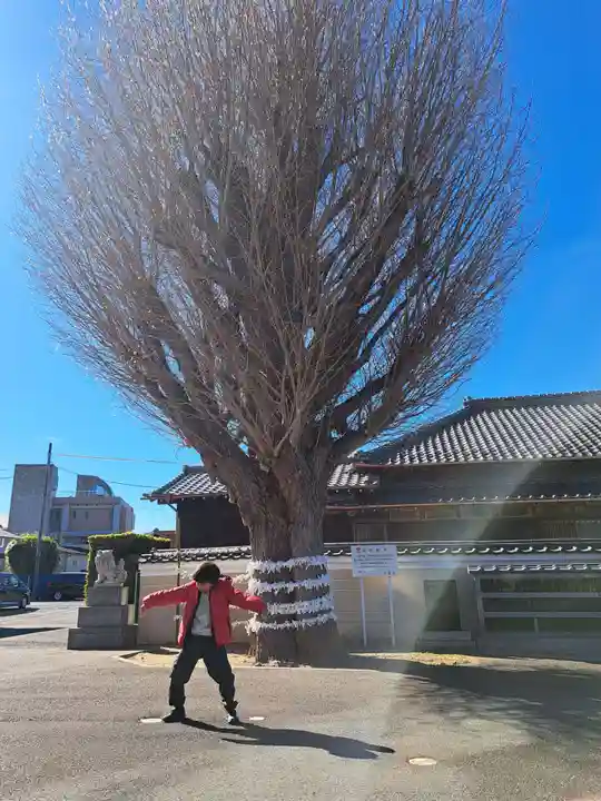 子守神社(千葉県)