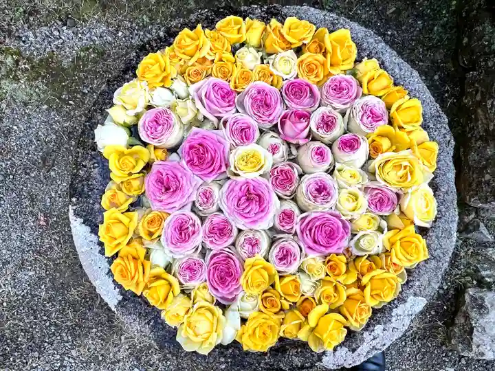 丹生都比売神社の手水舎