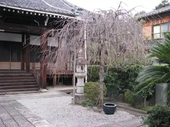 光徳寺(滋賀県)