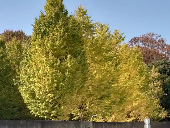 湯島天満宮の自然