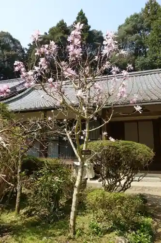 岩船寺の庭園