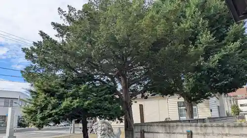 上白石神社の自然