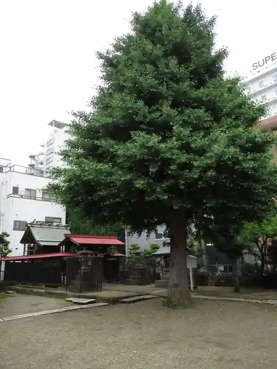 粕壁神明社の自然