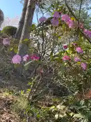 大生郷天満宮の自然