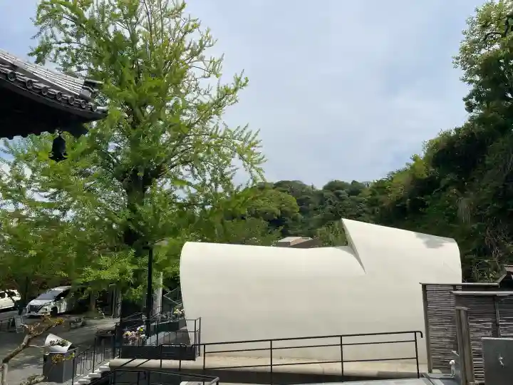 浄土寺の{uncategorized: "未分類", other: "その他", undefined: "問題あり", building: "その他建物", grave: "お墓", sacred_gate: "鳥居", guardian: "狛犬", statue: "像", buddha: "仏像", history: "歴史", nature: "自然", garden: "庭園", animal: "動物", pagoda: "塔", temizu: "手水舎", mountain_gate: "山門・神門", sanctuary: "本殿・本堂", subordinate: "末社・摂社", art: "芸術", scenery: "景色", jizo: "地蔵", ema: "絵馬", goshuin: "御朱印", omikuji: "おみくじ", items: "授与品その他", amulet: "お守り", goshuincho: "御朱印帳", eats: "食事", festival: "お祭り", votive_dance: "神楽", shichigosan: "七五三参", wedding: "結婚式", experience: "体験その他", initially: "初詣", around: "周辺", anti_infection: "感染症対策"}