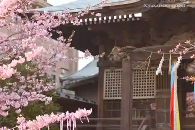 桜神宮のその他建物