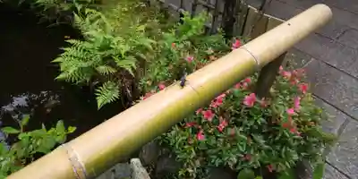 霊源院(京都府)