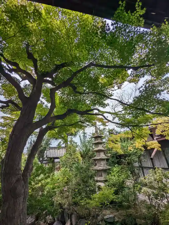 三福寺(京都府)