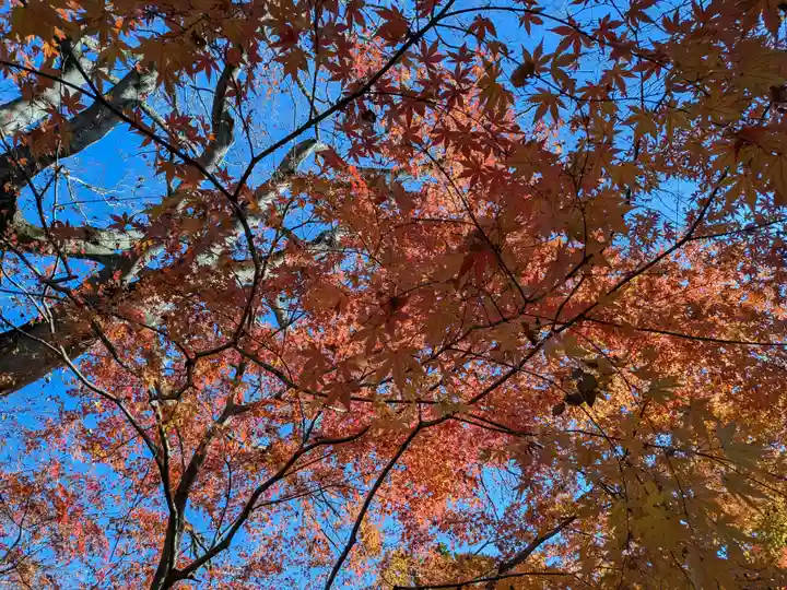 最勝寺(茨城県)