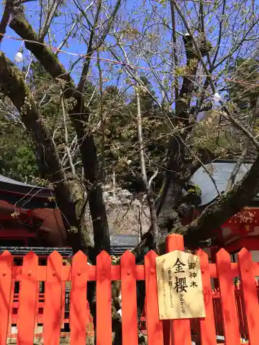 金櫻神社の{uncategorized: "未分類", other: "その他", undefined: "問題あり", building: "その他建物", grave: "お墓", sacred_gate: "鳥居", guardian: "狛犬", statue: "像", buddha: "仏像", history: "歴史", nature: "自然", garden: "庭園", animal: "動物", pagoda: "塔", temizu: "手水舎", mountain_gate: "山門・神門", sanctuary: "本殿・本堂", subordinate: "末社・摂社", art: "芸術", scenery: "景色", jizo: "地蔵", ema: "絵馬", goshuin: "御朱印", omikuji: "おみくじ", items: "授与品その他", amulet: "お守り", goshuincho: "御朱印帳", eats: "食事", festival: "お祭り", votive_dance: "神楽", shichigosan: "七五三参", wedding: "結婚式", experience: "体験その他", initially: "初詣", around: "周辺", anti_infection: "感染症対策"}