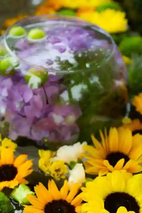 住吉神社の手水舎